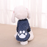 Pet Two-legged Sweater Teddy