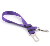 Polyester Dog Leash with Fixed Strap — Durable & Secure Walking Lead