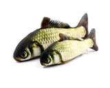 Realistic Fish Plush Cat Toy – Soft Pillow Chew & Cuddle Toy in 4 Sizes