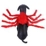 Pet Halloween Creative Spider Costume