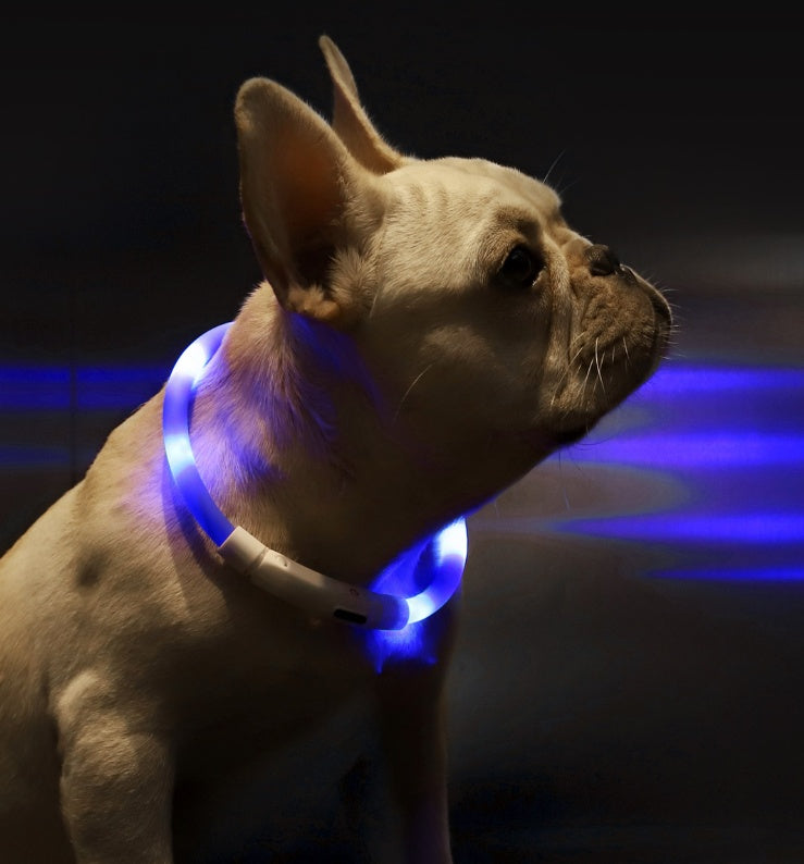 LED Light-Up Pet Collar – USB Rechargeable Safety Collar for Dogs & Cats