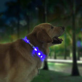 LED Light-Up Pet Collar – USB Rechargeable Safety Collar for Dogs & Cats