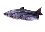 Realistic Fish Plush Cat Toy – Soft Pillow Chew & Cuddle Toy in 4 Sizes