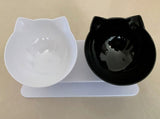 Tilted Cat Ear Pet Bowl — Angled Transparent Single Food Bowl for Cats & Dogs