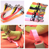Polyester Dog Leash with Fixed Strap — Durable & Secure Walking Lead