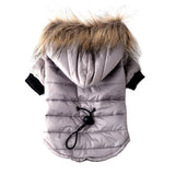 Pet Polyester Autumn And Winter Sweater Teddy Clothing