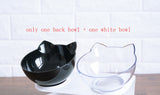 Tilted Cat Ear Pet Bowl — Angled Transparent Single Food Bowl for Cats & Dogs
