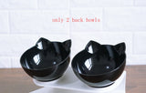 Tilted Cat Ear Pet Bowl — Angled Transparent Single Food Bowl for Cats & Dogs