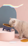 Elevated Pet Feeding Bowl with Stand — Raised Food & Water Dish for Dogs & Cats