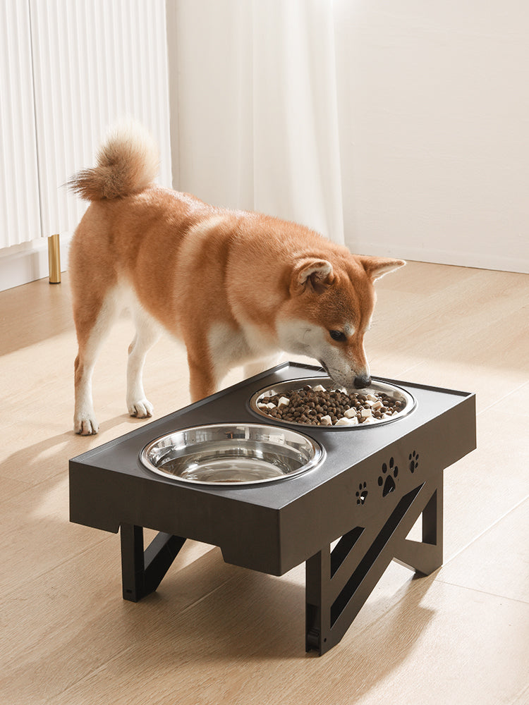 Pet Bowl Feeder Stainless Steel