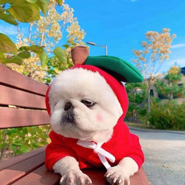 red-hoodie