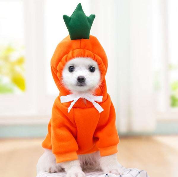 orange-hoodie