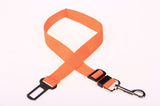 Polyester Dog Leash with Fixed Strap — Durable & Secure Walking Lead