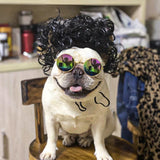 Pet Costume Wig Headdress for Dogs & Cats – 7 Fun Styles