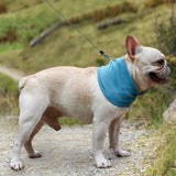 Pet Cooling Bandana Scarf – Instant Summer Neck Wrap for Dogs | Heatstroke Prevention