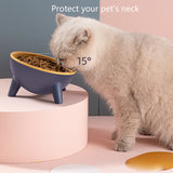 Elevated Pet Feeding Bowl with Stand — Raised Food & Water Dish for Dogs & Cats