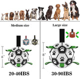Inflatable Dog Sport Ball – Nylon Grab Tab Fetch & Tug-of-War Ball for Large Dogs & Border Collies