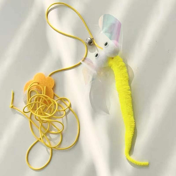 yellow-tail