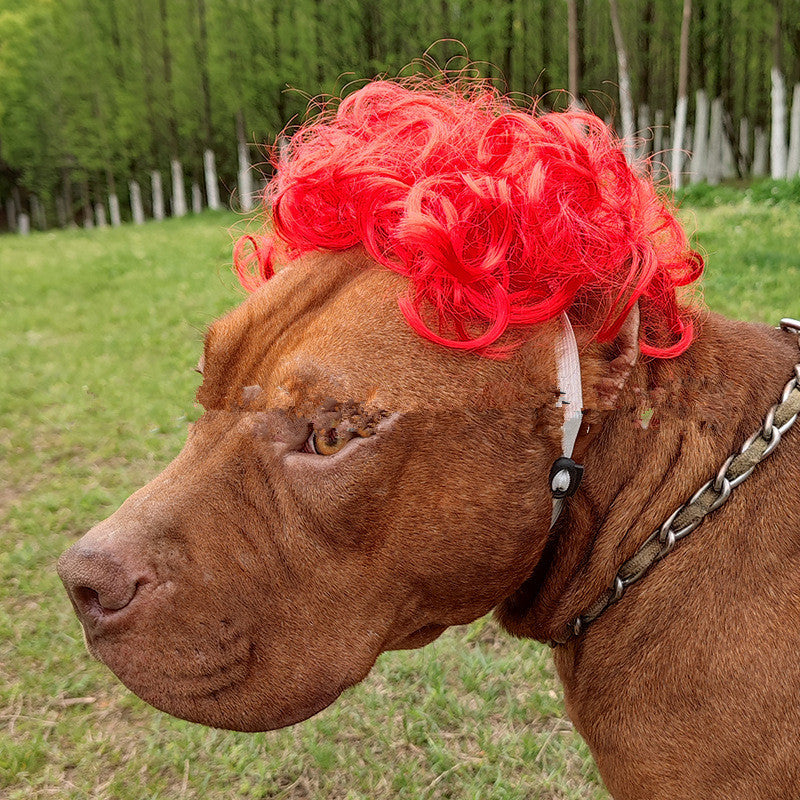 Pet Afro Wig with Bangs & Pigtails – Funny Dog & Cat Costume Hair
