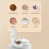 Automatic Pet Feeder with Timer — Smart Food Dispenser & Stainless Steel Bowl