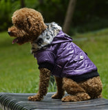Dog Winter Coat with Fur Collar | Warm Fleece-Lined Hooded Jacket for Dogs XS–XXL
