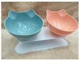 Tilted Cat Ear Pet Bowl — Angled Transparent Single Food Bowl for Cats & Dogs