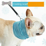 Pet Cooling Bandana Scarf – Instant Summer Neck Wrap for Dogs | Heatstroke Prevention