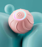 Smart Automatic Rolling Bouncing Ball – Rechargeable Silicone Interactive Pet Toy