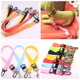 Polyester Dog Leash with Fixed Strap — Durable & Secure Walking Lead