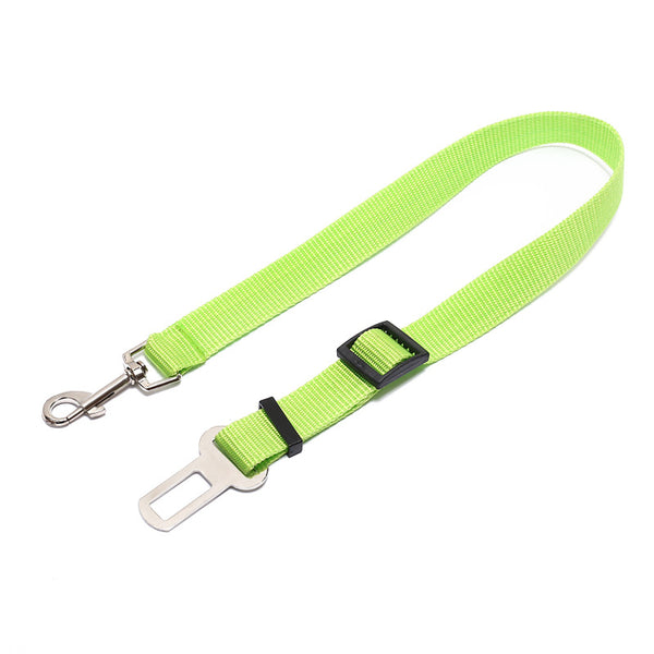 parrot-green