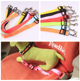 Polyester Dog Leash with Fixed Strap — Durable & Secure Walking Lead