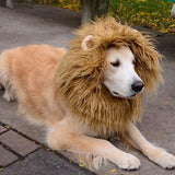 Lion Mane Wig Costume for Dogs – Warm Pet Halloween & Party Dress-Up