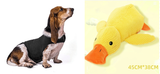 Anxiety Summer Medical Treatment Jacket Vest To Calm Down Pet