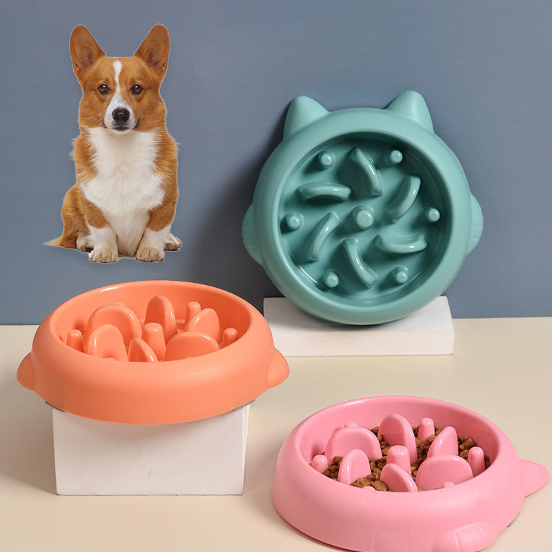Anti-Gulping Slow Feeder Pet Bowl — Anti-Choke Eating Plate for Dogs & Cats
