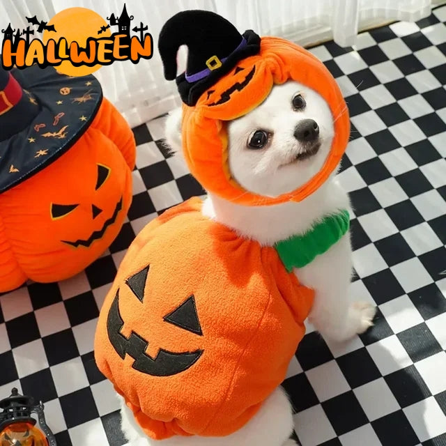 Festive Pet Harness Vest — Halloween, Thanksgiving & Christmas Costume