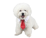 Cartoon Print Pet Bow Tie – Cat & Dog Collar Accessory in 12 Patterns