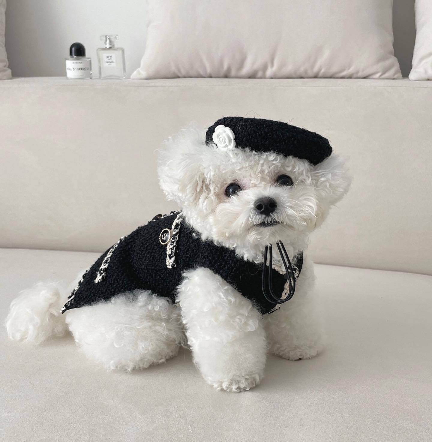 Cozy Knitted Pet Hat — Warm Winter Hat for Dogs & Cats