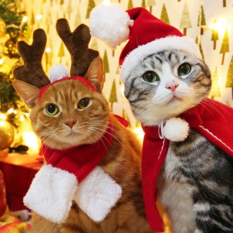 Pet Christmas Costume Set – Festive Headbands, Hats, Bibs & Shawls for Cats & Dogs