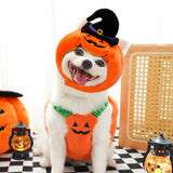 Festive Pet Harness Vest — Halloween, Thanksgiving & Christmas Costume