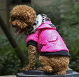 Dog Winter Coat with Fur Collar | Warm Fleece-Lined Hooded Jacket for Dogs XS–XXL