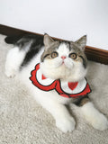 Pet Collar Scarf – Elegant Neck Shawl Accessory for Cats & Small Dogs | 4 Colours