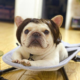 Pet Costume Wig Headdress for Dogs & Cats – 7 Fun Styles