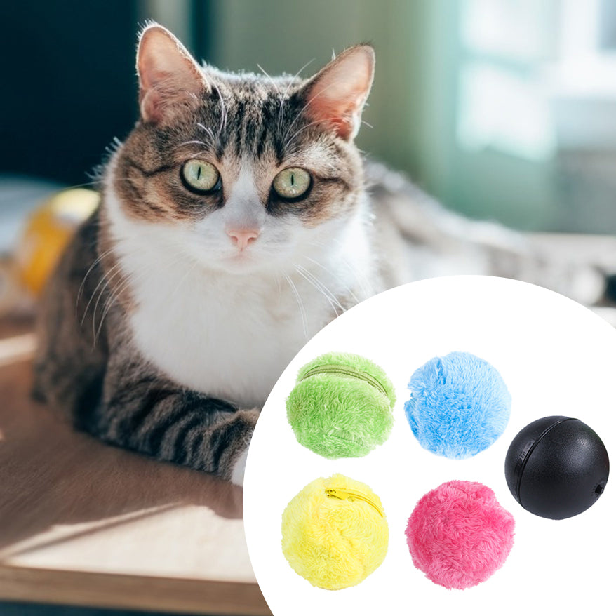 Electric Rolling Pet Toy Ball – Automatic Irregular Motion Toy for Cats & Dogs