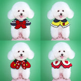 Pet Collar Scarf – Elegant Neck Shawl Accessory for Cats & Small Dogs | 4 Colours