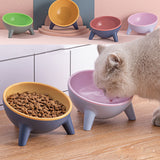 Elevated Pet Feeding Bowl with Stand — Raised Food & Water Dish for Dogs & Cats