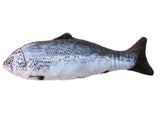 Realistic Fish Plush Cat Toy – Soft Pillow Chew & Cuddle Toy in 4 Sizes