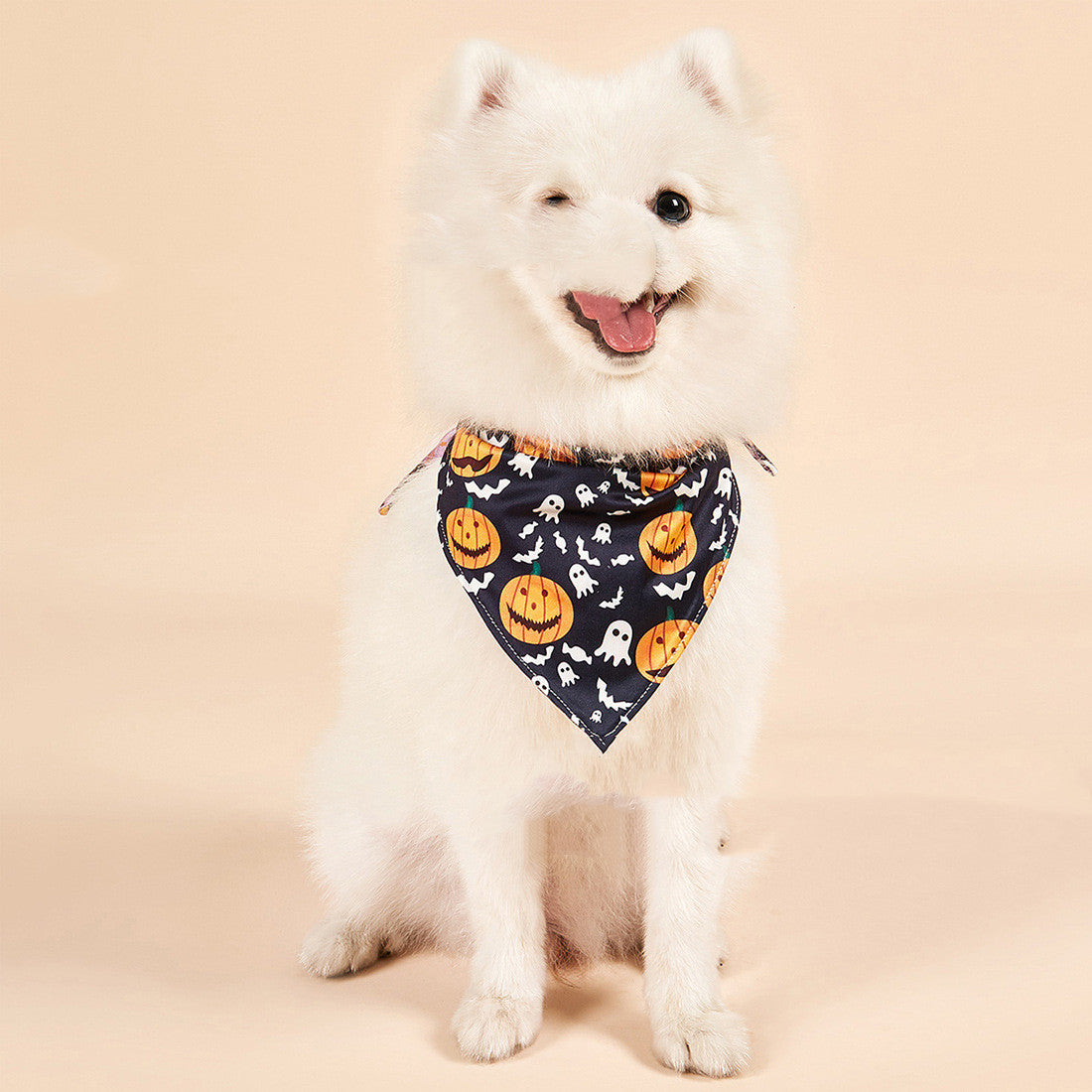 Pet Halloween Bandana Bib – Double-Sided Drool Towel for Cats & Dogs | 4 Spooky Designs