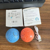 Electric Jumping Ball – Auto-Bouncing Bite-Resistant Silicone Dog Toy