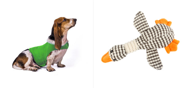 fluorescent-green-set2