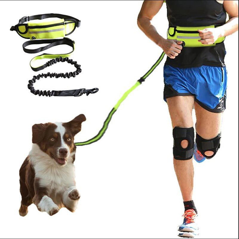 Hands-Free Dog Leash Running Belt – Bungee Leash Waist Belt with Phone Pocket, Treat Pouch & Water Bottle Holder